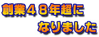 n48NɂȂ܂