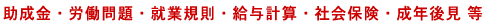 �������E�J�����E�A�ƋK���E���^�v�Z�E�Љ�ی��E���N�㌩ ��